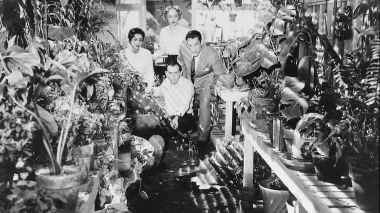 Invasion of the Body Snatchers still 1