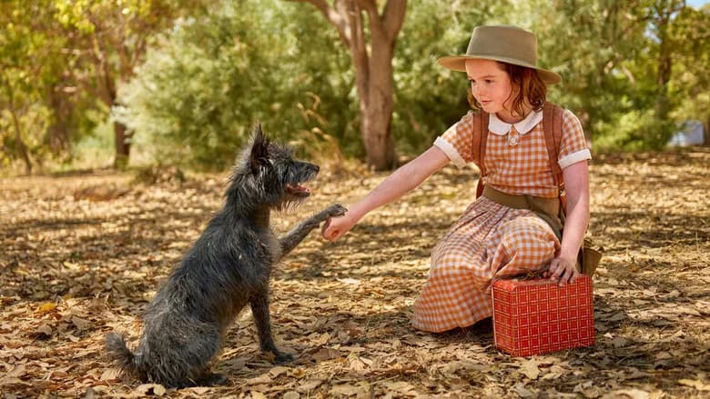 Runt still 6