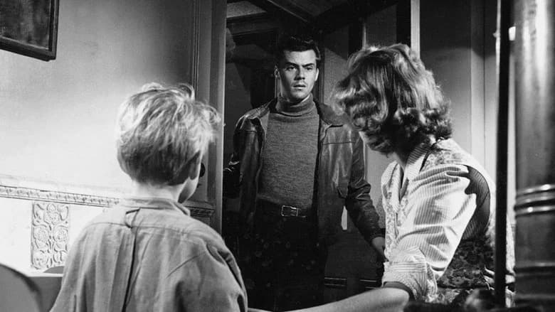 Hunted still 5