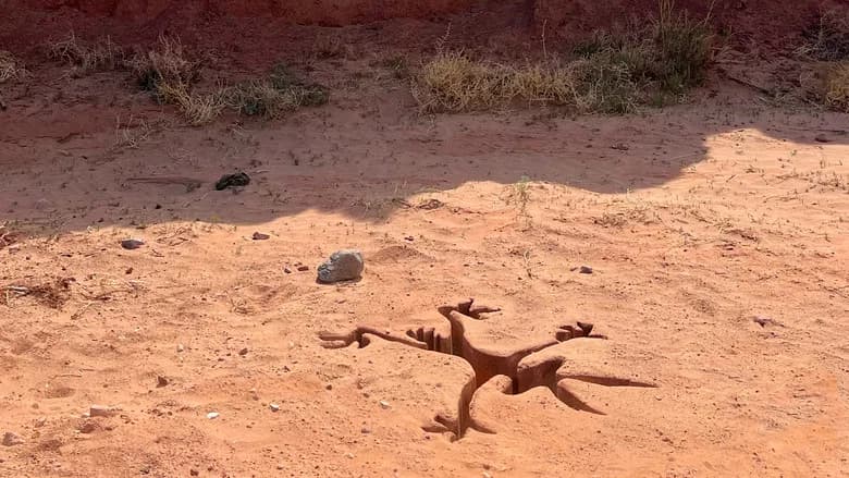 Coyote vs. Acme still 3