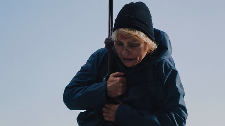 Zip Wire still 1