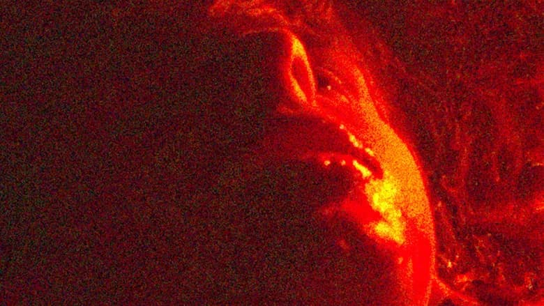 The Mimic still 2