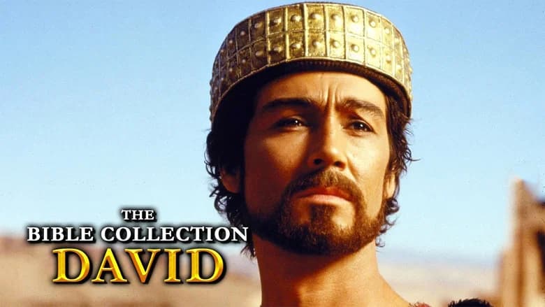 David still 8
