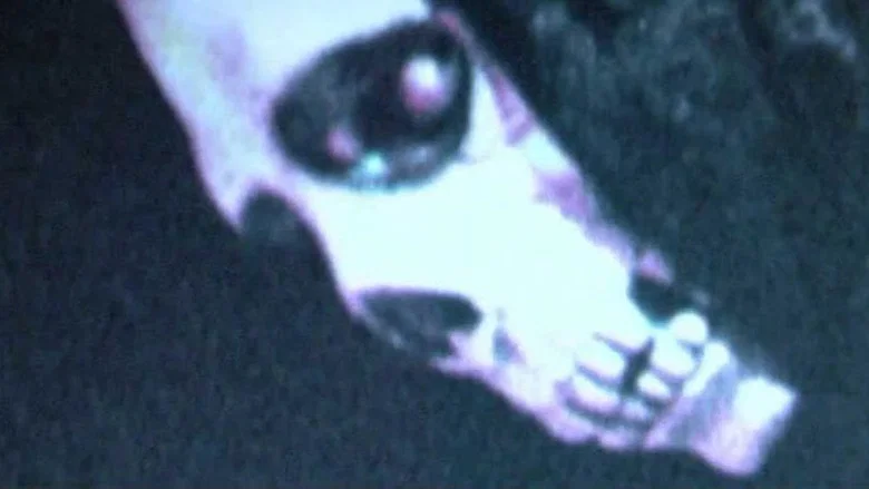 Mortal Remains still 2