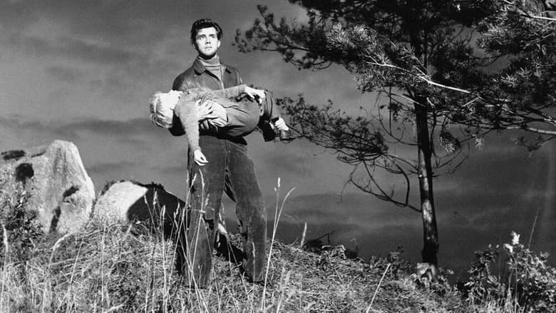 Hunted still 6
