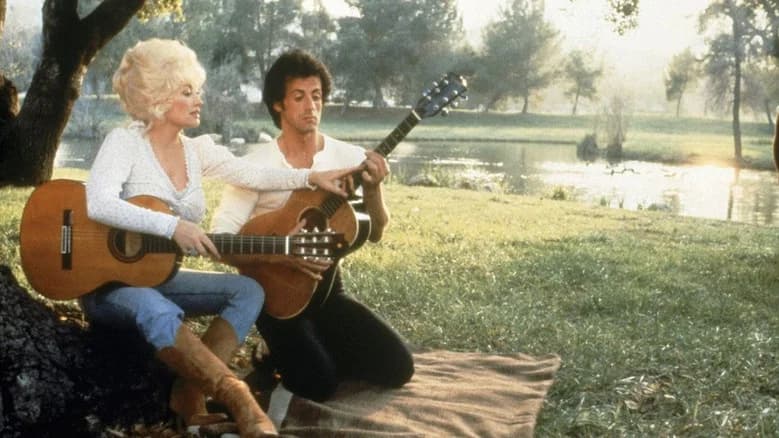 Rhinestone still 2