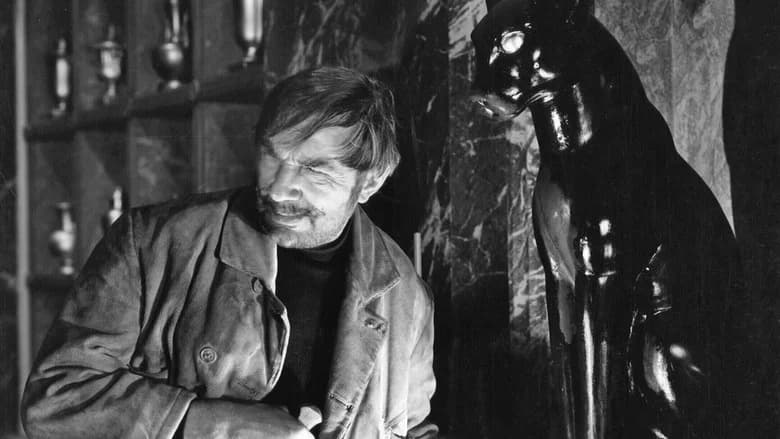 The Black Cat still 4