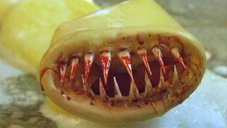The Killer Condom still 6